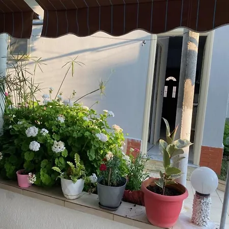 Apartament Enxh Wlora
